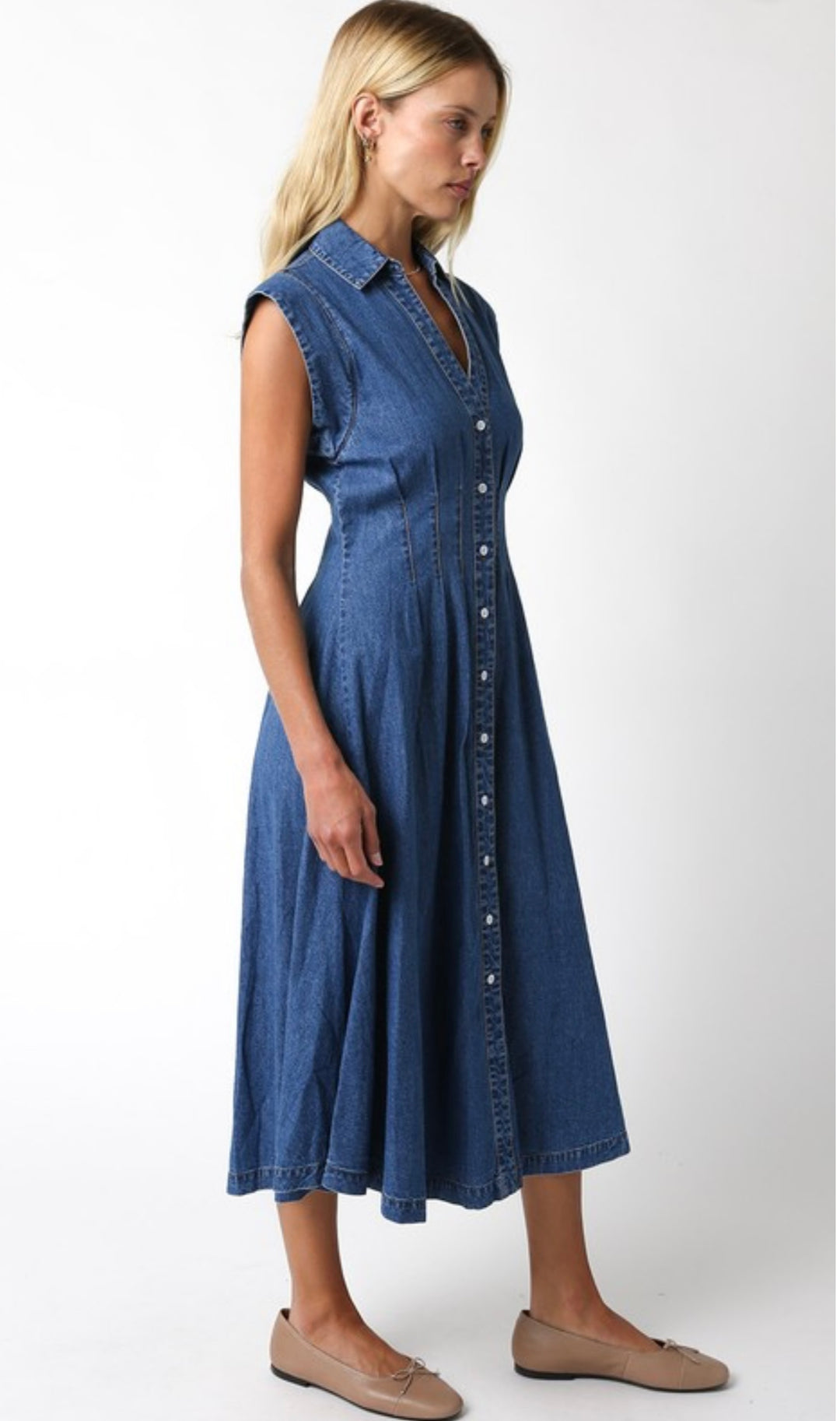 Blair Denim Dress